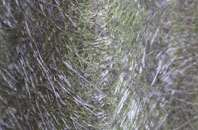 Oakes fibreglass roof work